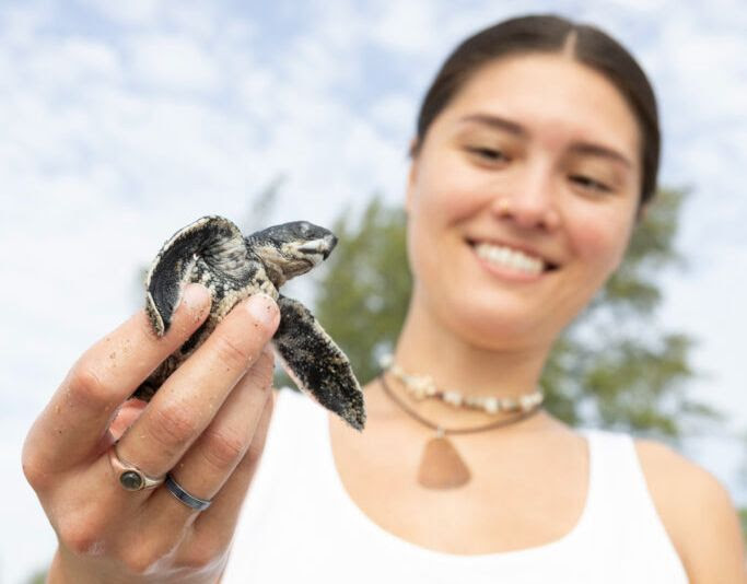 young woman out of focus holds small baby turtle in focus closer to camera