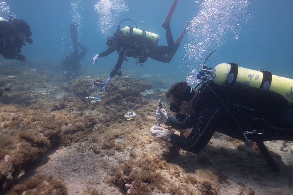 underwater image of four scuba divers with camera and tools