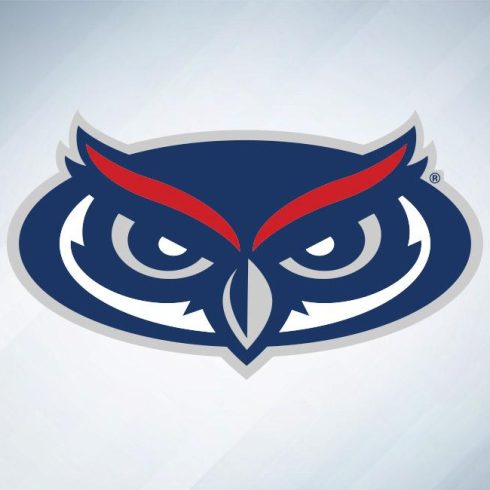Owl grey background