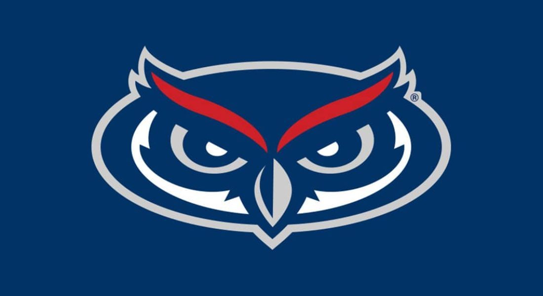 owlheadbluebackground-3-qdzoeymqid3538d4912guui6j68z0ctzhnbtcyifsg